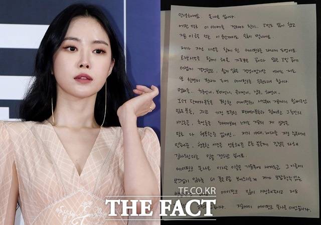 손나은은 자필 편지 글에서 "에이핑크 손나은이라는 이름을 가슴 속에 새겨두고 그 이름에 부끄럽지 않도록 더 좋은 모습 보여드리는 게 내가 보답할 수 있는 방법"이라고 덧붙였다. /더팩트 DB, 손나은 SNS캡쳐