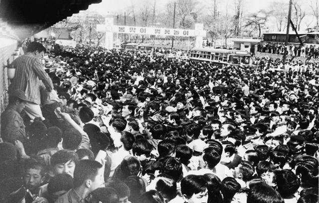 1971년 4월 20일 봄맞이 벚꽃놀이가 시작된 창경궁 앞이 나들이객으로 인산인해를 이루고 있다. 한국일보 자료사진