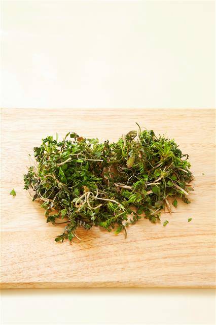 1. 냉이는 뿌리 쪽 흙을 다듬고 찬물에 흔들어 2, 3회 정도 씻은 뒤 뿌리 부분과 잎 부분을 먹기 좋게 잘라 둔다.