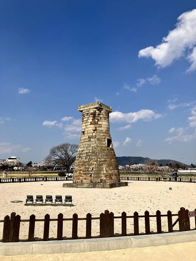 애플 아이폰SE 3세대로 촬영한 사진. /김양혁 기자