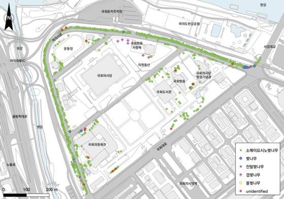 지난 4일 왕벚프로젝트2050의 회원들이 서울 영등포구 국회와 여의서로(윤중로)에 핀 벚나무들을 대상으로 생태조사를 벌인 결과 94.3%가 소메이요시노벚나무인 것으로 드러났다. [출처 왕벚프로젝트2050 제공]