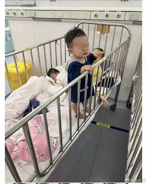 * 부모와 격리된 영유아들 (출처 : 중국 웨이보)