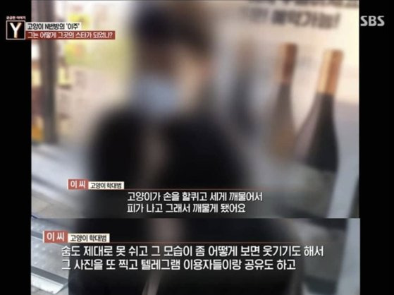 고양이 학대가 의심되는 B씨 인터뷰 장면. [SBS '궁금한이야기Y' 방송화면 캡처]