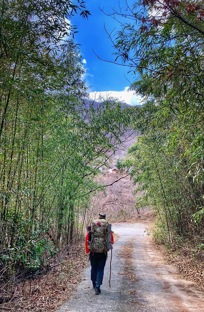 구황마을로 이어지는 하산길에는 사시사철 푸르른 대나무 숲이 산객들을 배웅하고 있다.