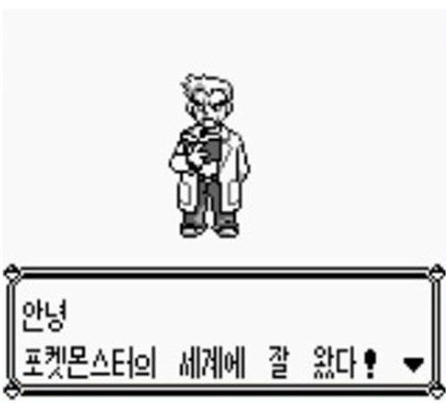 [사진 픽사베이]