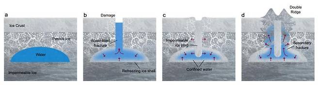 표면 얼음 껍질(ice crust) 아래에 있는 액체 상태의 물에 의해 표면에 이중 융기(double ridges) 구조가 만들어지는 과정. [Nature Communications 논문 캡처. 재판매 및 DB 금지]