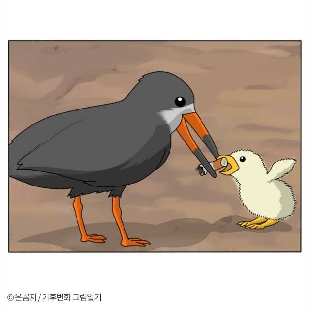 먹이인 줄 알고 담배꽁초를 아기새에게 건네는 어미새의 모습. 작가는 음식 모형을 먹다 이가 상하고 배탈이 난 인간의 마음과 쓰레기를 먹은 바다 생물의 마음이 다르냐고 웹툰을 통해 묻는다. ＜기후변화 그림일기＞ 은꼼지 작가