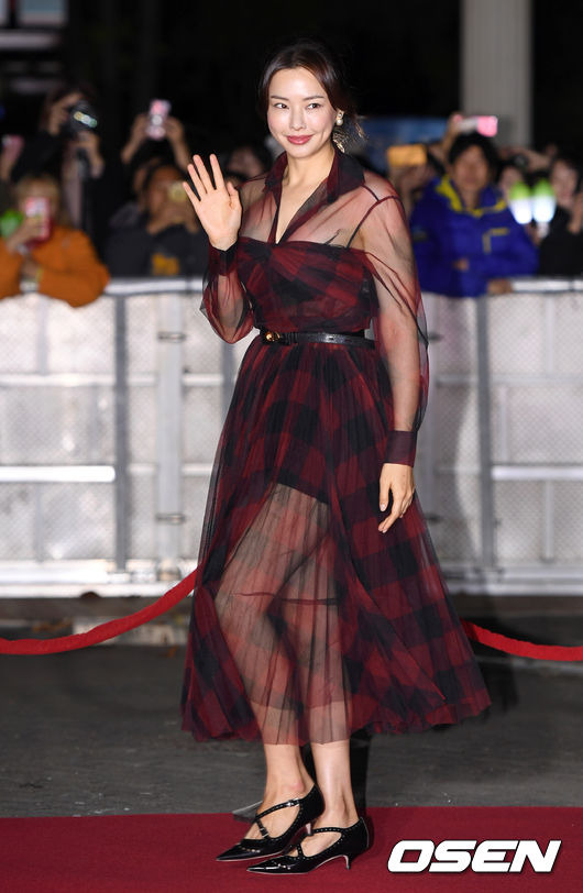 [OSEN=이대선 기자] 30일 오후 서울 송파구 올림픽공원 올림픽홀에서 2019 대한민국 대중문화예술상 시상식이 열렸다.배우 이하늬가 레드카펫을 밟고 있다. /sunday@osen.co.kr