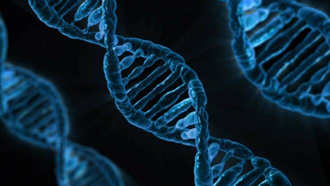 과학자들은 최첨단 유전자 가위를 들고 하루빨리 편집과 복제 기술을 인간의 몸에 적용하고 싶어한다.