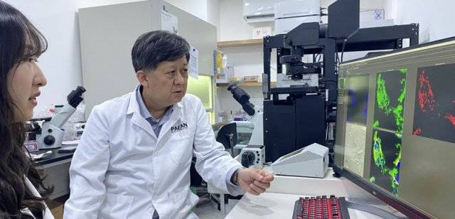 한규범 대표이사(오른쪽)가 새로 주입한 미토콘드리아가 세포 내에 자리를 잘 잡았는지를 관찰하며 연구원과 의견을 나누고 있다. 파이안바이오테크놀로지 제공