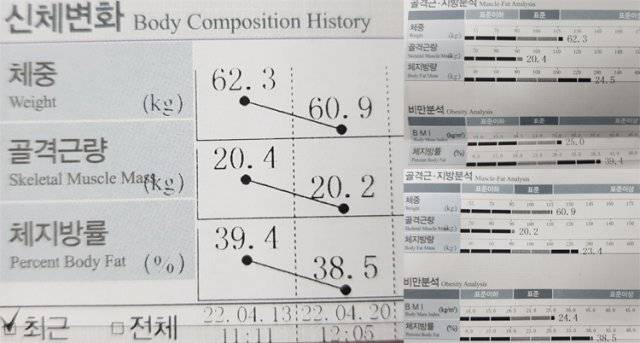 ‘만보 걷기’ 전후 인바디 결과.