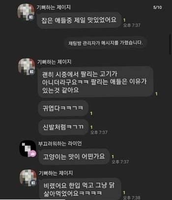당시 고어전문방서 오간 대화들./사진=동물자유연대