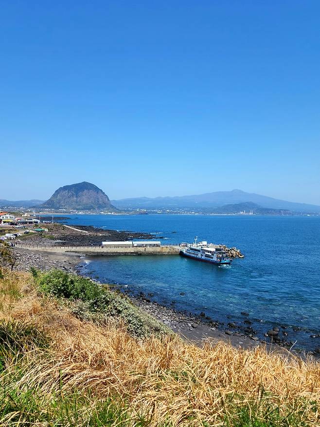 산이수동항