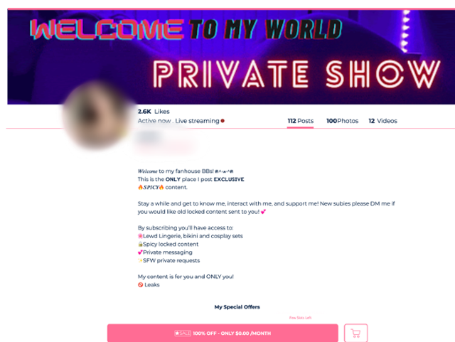 전씨의 사진을 도용한 인스타그램에 링크된 사이트. 전씨의 사진을 사용했으며, '선정적인 란제리(Lewd Lingerie)'나 '매운맛 유료 콘텐츠(Spicy locked content)', 비키니, 코스튬 플레이 등의 문구가 적혀 있다. 전씨 제공