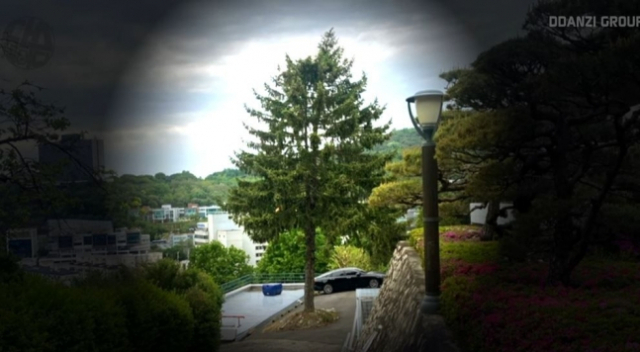 방송인 김어준씨가 공개한 외교부 장관 공관 정원에 있는 나무/사진=유튜브 '다스뵈이다' 캡처