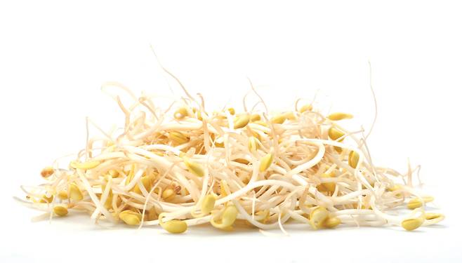 ⓒ시사저널 박정훈