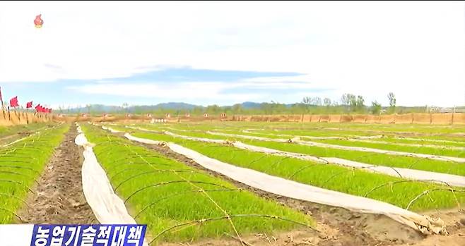 북한 농장원들이 '4월부터 비가 내리지 않았다'며 가뭄 피해를 우려했다. (조선중앙TV 갈무리)© 뉴스1
