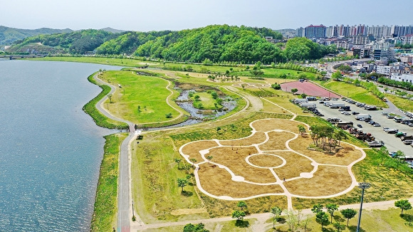 경상북도 안동시가 어가골 인근 낙동강변 둔치에 조성한 ‘낙동가람 초화단지’ 전경. [사진=안동시]