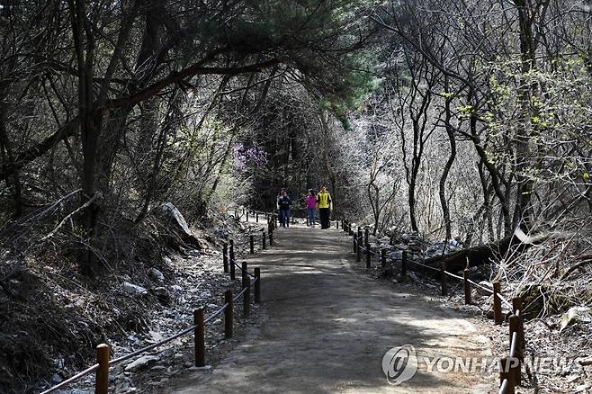 치악산 둘레길 [연합뉴스 자료사진]