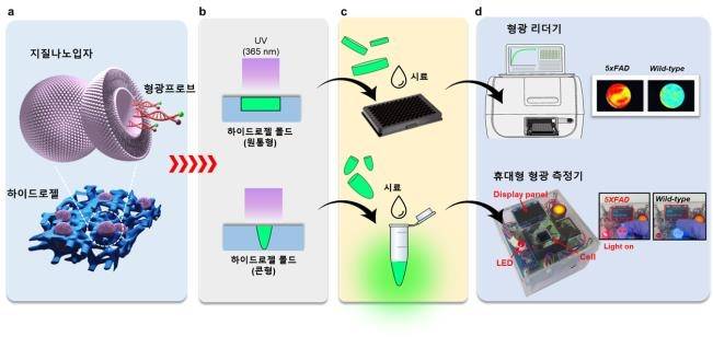 혈액 내 알츠하이머병 검출시스템 개략도 [한국생명공학연구원 제공. 재판매 및 DB 금지]