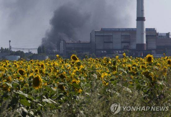 러시아의 우크라이나 침공 이후 식용유의 주원료인 해바라기씨 수출에 차질을 빚고 있다. 사진은 우크라이나의 해바라기 밭. / 사진=연합뉴스