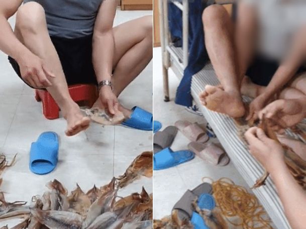 소셜미디어에 공개돼 퍼진 건조 오징어 가공 영상 속 모습. /틱톡