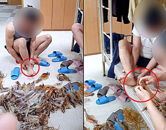 경북 포항의 한 수산물 시장 근무자로 추정되는 외국인노동자가 맨발(빨간원)로 마른오징어를 펴는 작업을 하고 있다. (사진=틱톡)