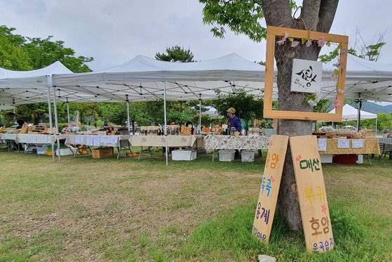 운곡습지 주변 마을은 주민들은 환경 정화뿐 아니라 다양한 활동으로 관광객을 맞는다. 토요일마다 고인돌 박물관 앞에서는 지역 농산물과 수공예품을 파는 장을 연다. 사진 고창운곡습지생태관광협의회