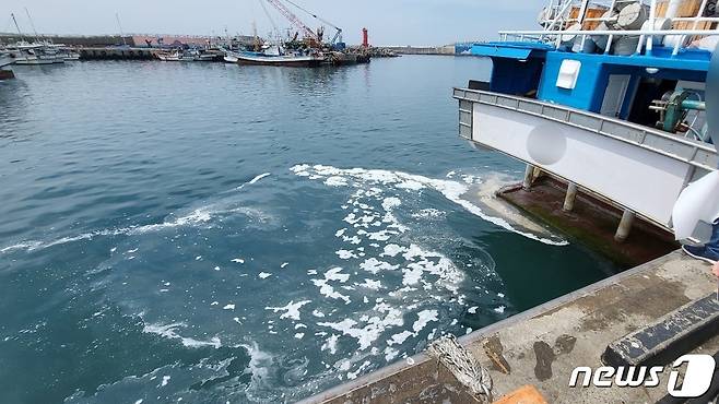 지난 12일 오전 11시5분쯤 서귀포시 모슬포항 해상에 기름이 유출돼 해경이 방제작업에 나섰다.(서귀포해양경찰서 제공) 2022.5.13/뉴스1© News1