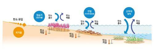 염습지, 갯벌, 잘피 [해양환경공단 자료 캡처, 재판매 및 DB금지]