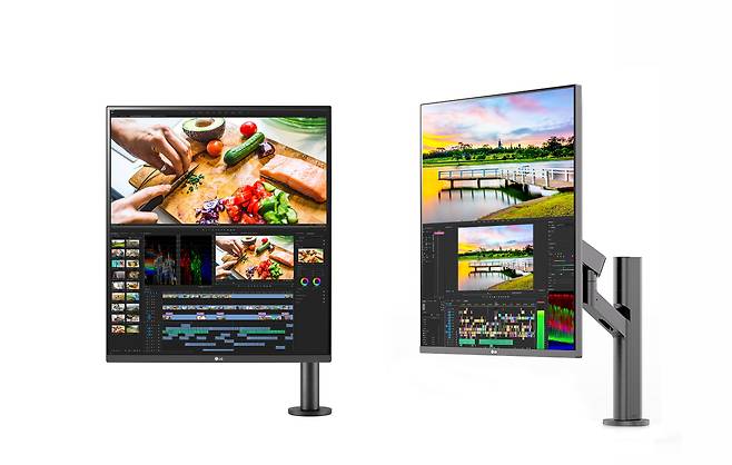 LG 듀얼업 모니터. /LG전자