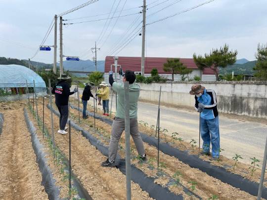사진=영동군 제공