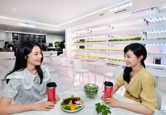 16일 서울 마포구 홈플러스 월드컵점 도시형 스마트팜 카페 '팜스365'를 모델들이 소개하고 있다.