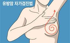 사진=조선일보 DB