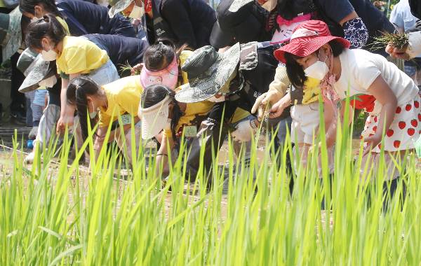 수요일은 전국이 대체로 맑으며 수도권과 강원도엔 가끔 구름이 끼는 등 일부지역엔 적은 양의 비가 올 전망이다. 사진은 17일 서울 양천구 신트리공원에서 열린 '도심 속 모내기 체험' 행사에 참여한 어린이들. /사진=뉴스1