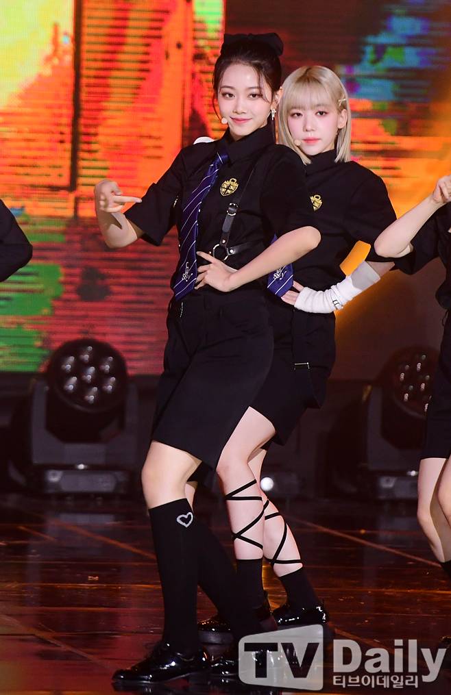 티브이데일리 포토