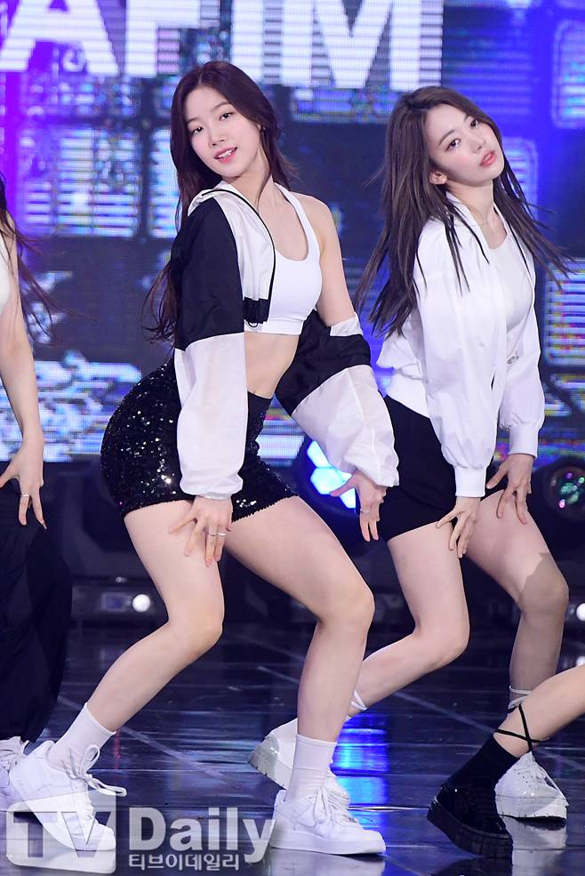 티브이데일리 포토