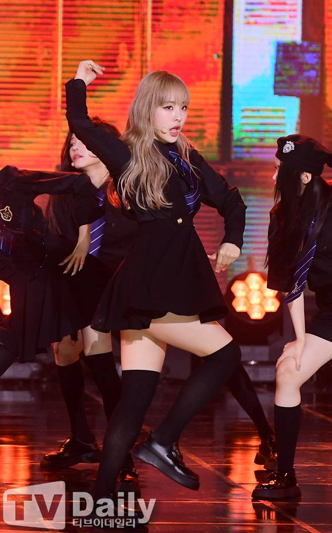 티브이데일리 포토