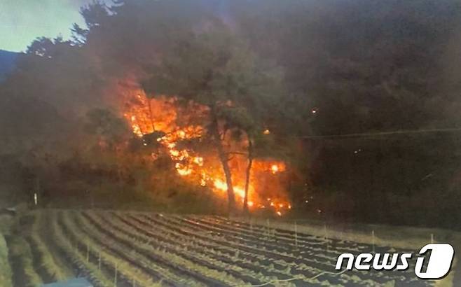강원 소초면 수암리 산불(산림청 제공)© 뉴스1