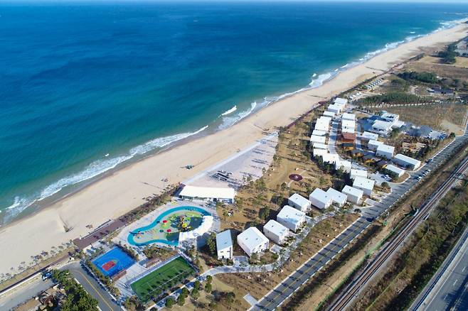 동해시 망상해변에 위치한 망상오토캠핑리조트 전경. 동해시 제공