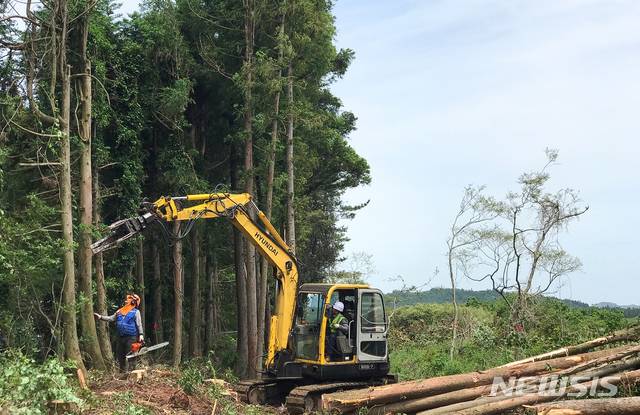 [제주=뉴시스]우장호 기자 = 지난 2020년 5월 27일 제주 비자림로 확장공사 재개 당시 제주시 구좌읍 제2대천교~세미교차로 1.36㎞ 구간에서 삼나무 벌채 공사가 진행 중인 모습. 2020.05.27. woo1223@newsis.com