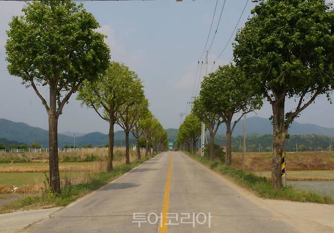 철원 직탕폭포길