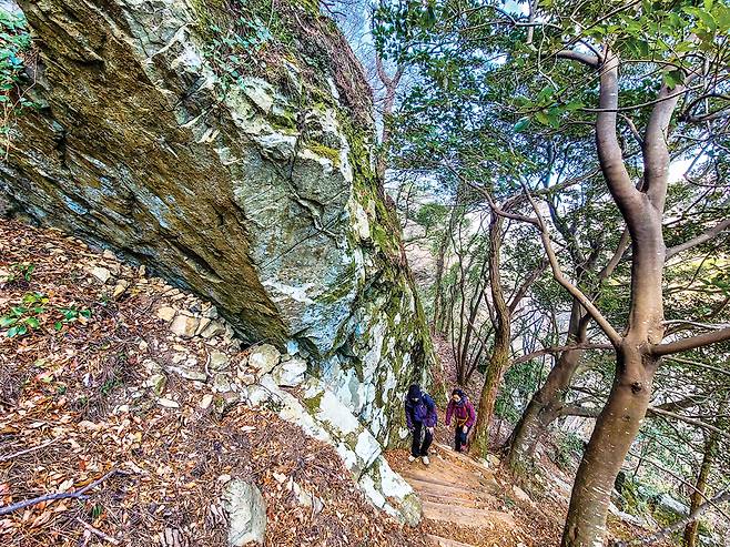 망산 1봉 각지미봉을 오르는 길. 가파른 경사면에 울창한 숲과 암릉이 어우러진다.