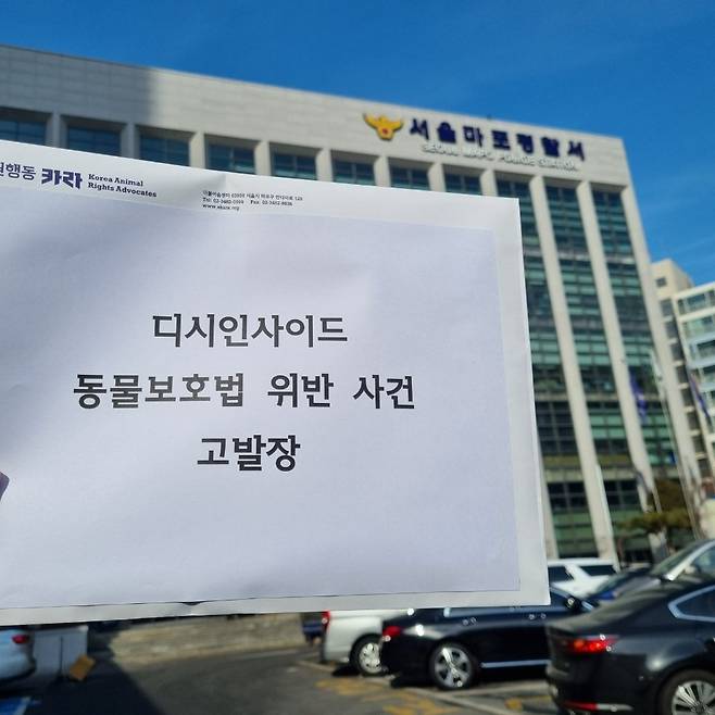 디시인사이드에 고양이 산 채로 불태우는 영상…동물권단체, 경찰 고발    [연합뉴스 자료사진]