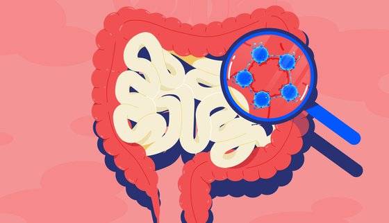 장내세균은 장 누수를 일으켜 과도한 면역 반응을 일으킬 수 있다. 사진 Atlas Biomed 블로그
