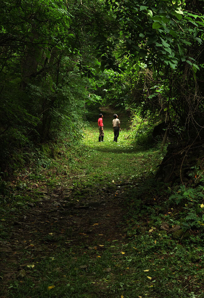 경북 영양 일월산 자락 대티골 마을의 숲길 탐방로. 숲의 청량한 초록이 터널을 이룬 이 길은 지금 가면 딱 좋다.