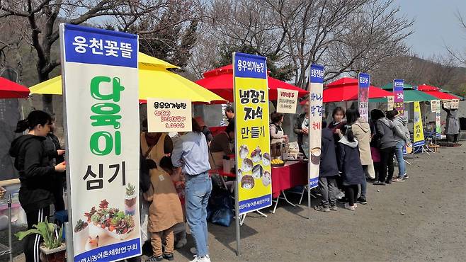 2019년 열린 '농촌체험 한마당' [보령시 제공. 재판매 및 DB 금지]