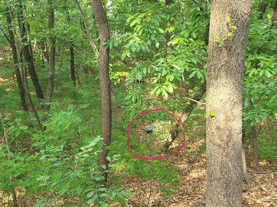 대구 달서구 와룡산에서 개구리소년의 유골이 발견된 지점. 대구=백경서 기자