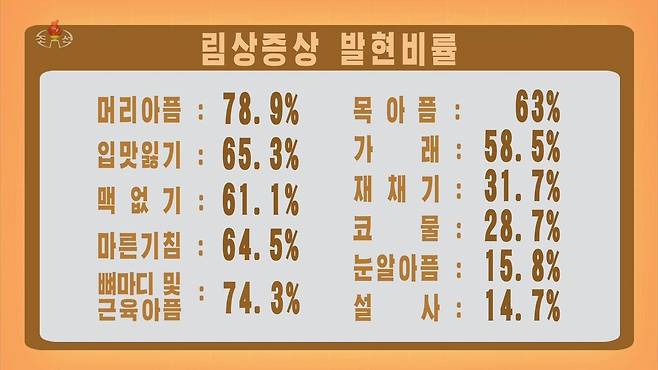 20일 오후 현재 북한 코로나 유증상자들이 호소한 증상  (서울=연합뉴스) 북한 국가비상방역사령부 관계자인 류영철은 22일 조선중앙TV에 출연해 20일 오후 6시 현재 각 지역별, 연령별, 직업별 신종코로나바이러스 감염증(코로나19) 발열자 현황과 임상증상 발현비율을 소개했다. [조선중앙TV 화면] 2022.5.22
    [국내에서만 사용가능. 재배포 금지. For Use Only in the Republic of Korea. No Redistribution] nkphoto@yna.co.kr