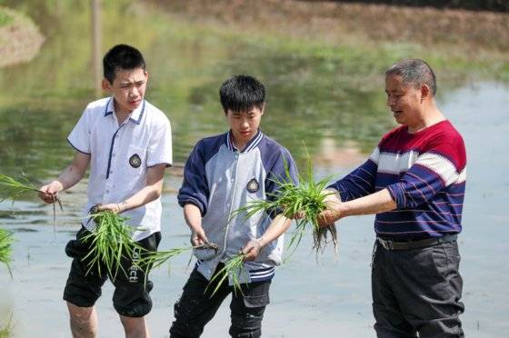 중국 초중생 대상으로 한 ‘노동’ 과목 신설은 시진핑 중국 국가주석이 계획하는 미래 노동자 양성 프로젝트와 맥이 닿아 있는 것으로 보인다. [중국 바이두 캡처]